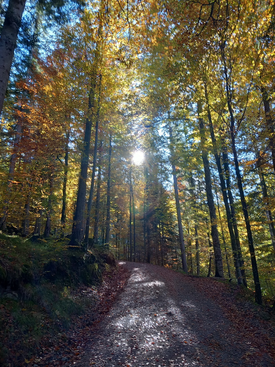 Herbstwanderung
