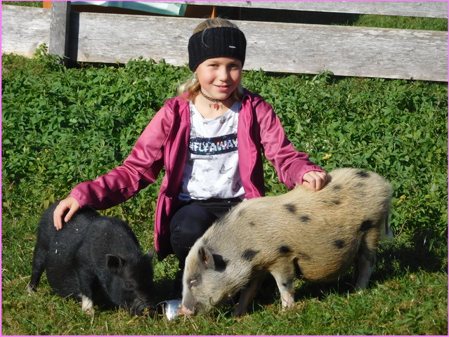 Laura mit Minischweinen